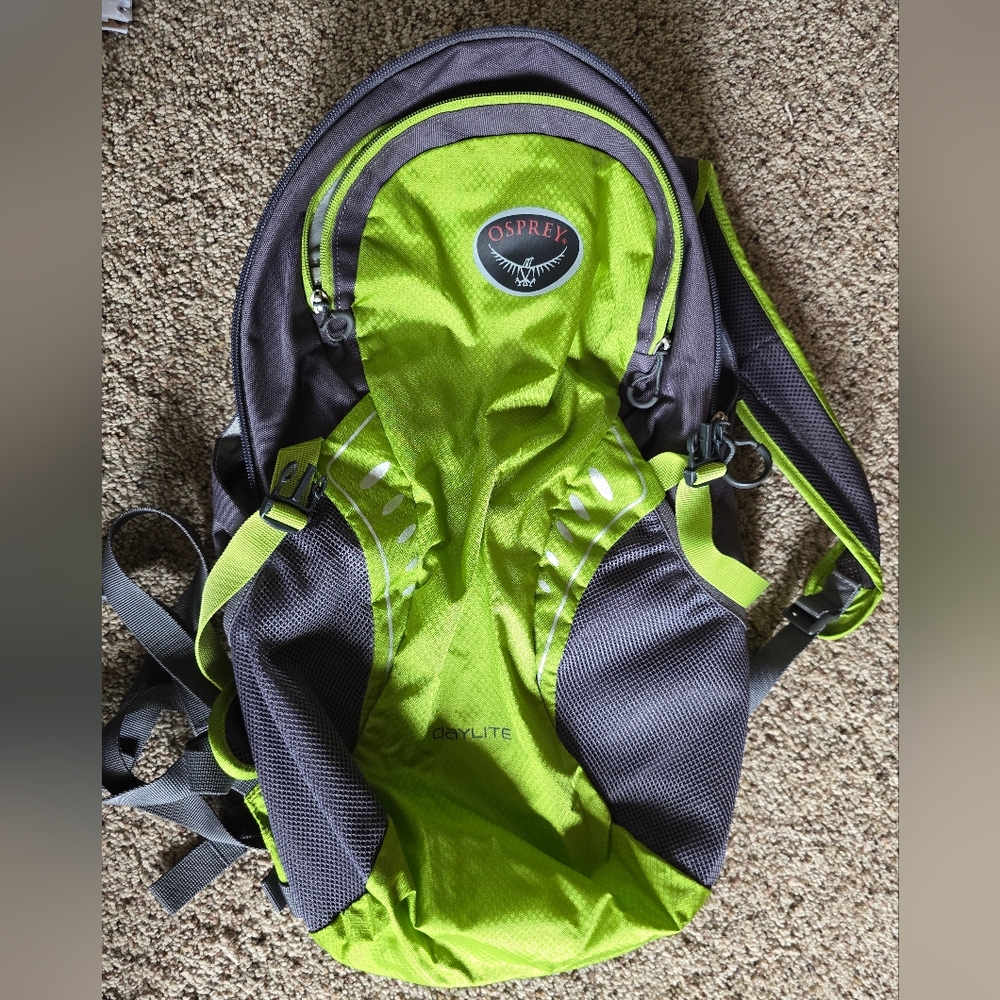 Osprey Green and Gray Daylite Backpack